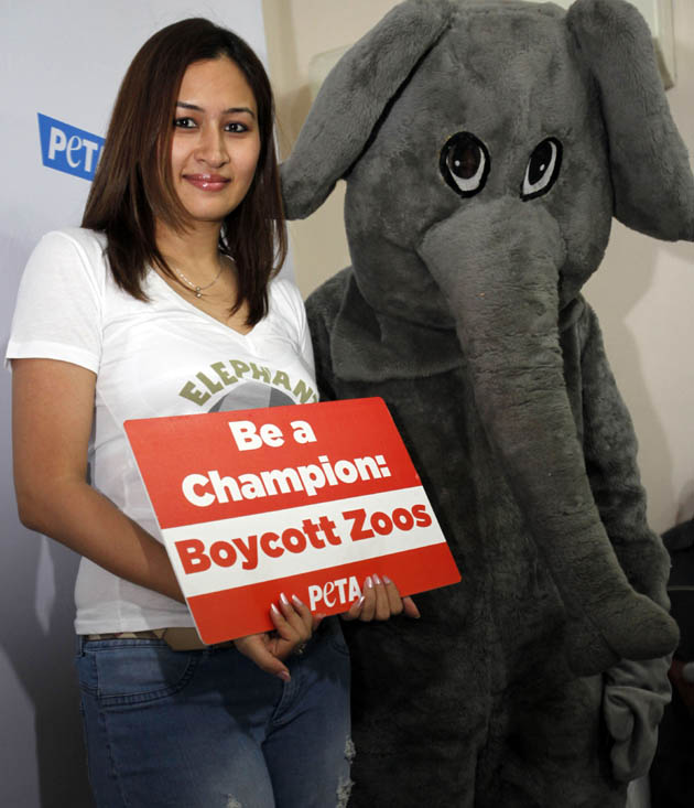 पेटा का मानना है कि चिड़ियाघरों में जानवरों के साथ अमानवीय व्यवहार होता है। यही वजह है कि वो चिड़ियाघरों के खिलाफ है। (फोटो: एपी)