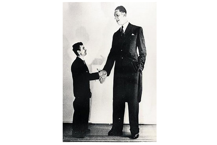  5.à¤µà¤¾à¤¯à¤¨à¥ à¤¨à¤¿à¤²à¥à¤°à¤¿à¤¨à¥ (8 à¤«à¤¿à¤ 3 à¤à¤à¤ à¤¯à¤¾ 2.51 à¤®à¥à¤à¤°): à¤µà¤¾à¤¯à¤¨à¥ à¤¨à¤¿à¤²à¥à¤°à¤¿à¤¨à¥ à¤à¥ à¤¸à¤¨ 1940 à¤¸à¥ à¤¸à¤¨ 1963 à¤¤à¤ à¤¦à¥à¤¨à¤¿à¤¯à¤¾ à¤à¥ à¤¸à¤¬à¤¸à¥ à¤²à¤à¤¬à¥ à¤µà¥à¤¯à¤à¥à¤¤à¤¿ à¤à¥ à¤¤à¥à¤° à¤ªà¤° à¤à¥à¤¨à¥ à¤à¤¾ à¤¸à¥à¤­à¤¾à¤à¥à¤¯ à¤ªà¥à¤°à¤¾à¤ªà¥à¤¤ à¤¹à¥à¤à¥¤ à¤µà¤¾à¤¯à¤¨à¥ à¤¨à¤¿à¤²à¥à¤°à¤¿à¤¨à¥ à¤à¤¾ à¤à¤¨à¥à¤® 27 à¤«à¤°à¤µà¤°à¥ 1909 à¤à¥ à¤«à¤¿à¤¨à¤²à¥à¤à¤¡ à¤®à¥à¤ à¤¹à¥à¤ à¤¥à¤¾à¥¤ à¤à¤ªà¤¨à¥ à¤à¥à¤µà¤¨ à¤à¥ 54 à¤¬à¤¸à¤à¤¤ à¤à¥à¤¨à¥ à¤µà¤¾à¤²à¥ à¤µà¤¾à¤¯à¤¨à¥ à¤¨à¤¿à¤²à¥à¤°à¤¿à¤¨à¥ à¤à¥ à¤¬à¤¾à¤à¥ à¤²à¤à¤¬à¥ à¤µà¥à¤¯à¤à¥à¤¤à¤¿à¤¯à¥à¤ à¤à¥ à¤¤à¥à¤²à¤¨à¤¾ à¤®à¥à¤ à¤²à¤à¤¬à¥ à¤à¤¿à¤à¤¦à¤à¥ à¤®à¤¿à¤²à¥à¥¤