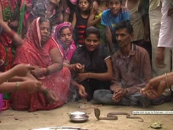 साढ़ापुर गांव में भगवान शिव का लाइव दर्शन, मंदिर में लग रही है हजारों की भीड़