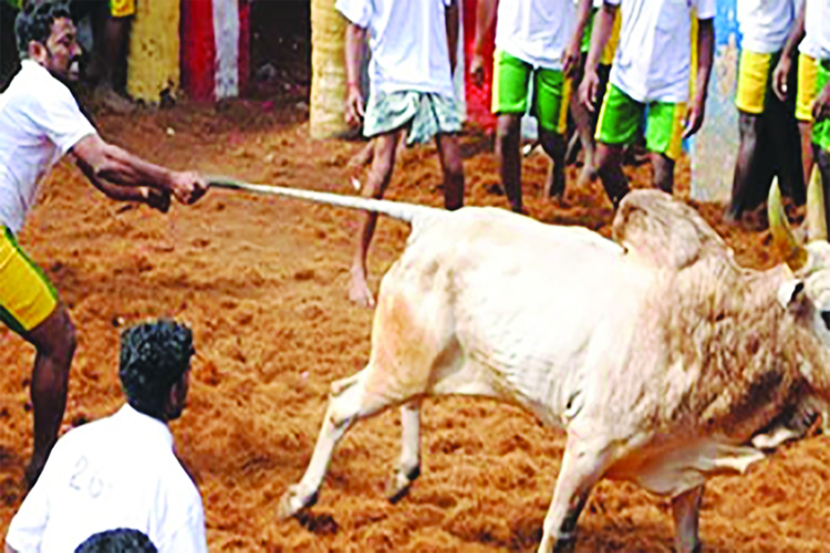 फोटो: फर्स्ट पोस्ट