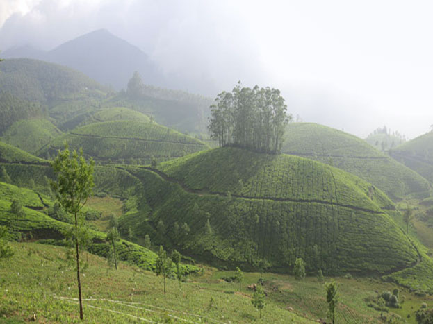 मौसम खुशनुमा है और देश में कुछ हिल स्टेशन पर इस सुहाने मौसम का अपना ही मजा है. आइए आपको बताते हैं कुछ ऐसे हिल स्टेशन जहां आप घूमने की प्लानिंग कर सकते हैं. मौसम खुशनुमा है और देश में कुछ हिल स्टेशन पर इस सुहाने मौसम का अपना ही मजा है. आइए आपको बताते हैं कुछ ऐसे हिल स्टेशन जहां आप घूमने की प्लानिंग कर सकते हैं.