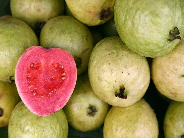 Image of Guava amrud cut slices white pulp with Space for  text-YA455995-Picxy