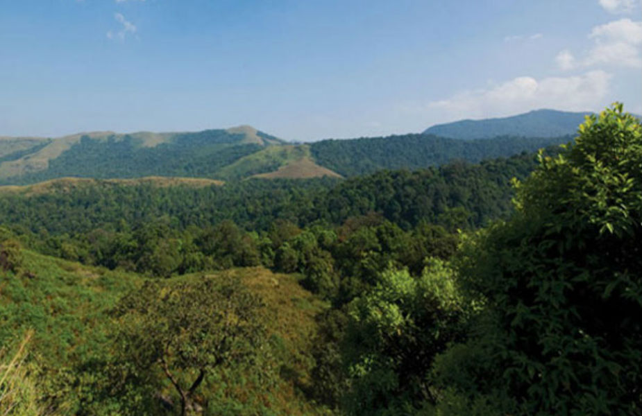 कुद्रेमुख, कर्नाटका : उत्तर की ऊंची पहाड़ियों पर यदि आप घूम आए हों तो फिर देश के निचले हिस्से यानी की दक्षिण में कर्नाटका का कुद्रेमुख आपके लिए सबसे बेहतरीन ट्रेक हो सकता है. घने जंगह, मैदानी घास वाले लंबे चौड़े इलाकों और वॉटर फाल्स के बीच गुजरना आपके लिए बेहतरीन अनुभव हो सकता है. हालांकि यहां नवंबर से फरवरी के बीच जाना एक बढ़िया ऑप्शन हो सकता है.
