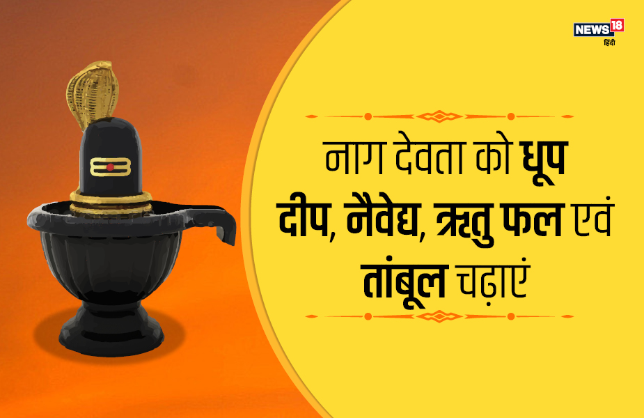 नाग देवता को धूप दीप, नैवेद्य, ऋतु फल एवं तांबूल चढ़ाएं.