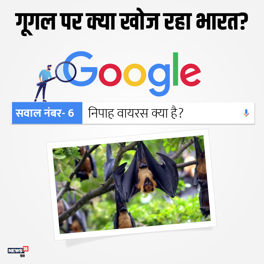  WHO ने निपाह वायरस को दुनिया के सबसे खतरनाक वायरस में शुमार किया. ये चमगादड़ से होते हुए इंसानों में फैलता है. केरल के हेल्थ डिपार्टमेंट ने इस वायरस से हुई कुछ मौतों की पुष्टि की. इस कारण ये भारत में खोजे गए टॉप 10 गूगल सर्च में छठवें नंबर पर मौजूद है.