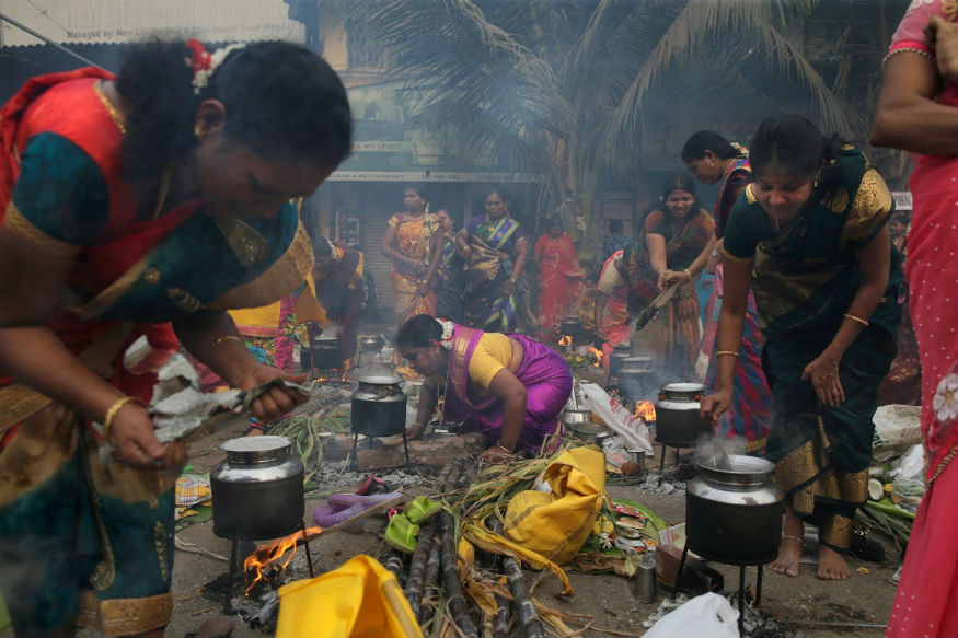 Mattu Pongal 2019: जानिए मट्टू पोंगल क्यों मनाया जाता है? भगवान शिव ने क्यों दिया था नंदी को श्राप!