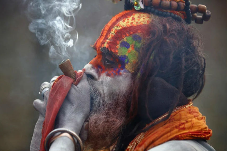 तो इसलिए दुनियाभर में भांग को मानते हैं प्रसाद, कुंभ मेले में नशे में धुत्त रहते हैं साधु