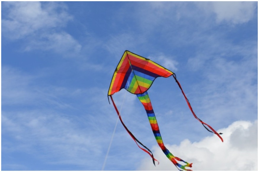 Makar Sankranti 2019: देश के कई हिस्सों में मनाया जाता है पतंग उड़ाने का त्यौहार, जानिए इसका महत्व