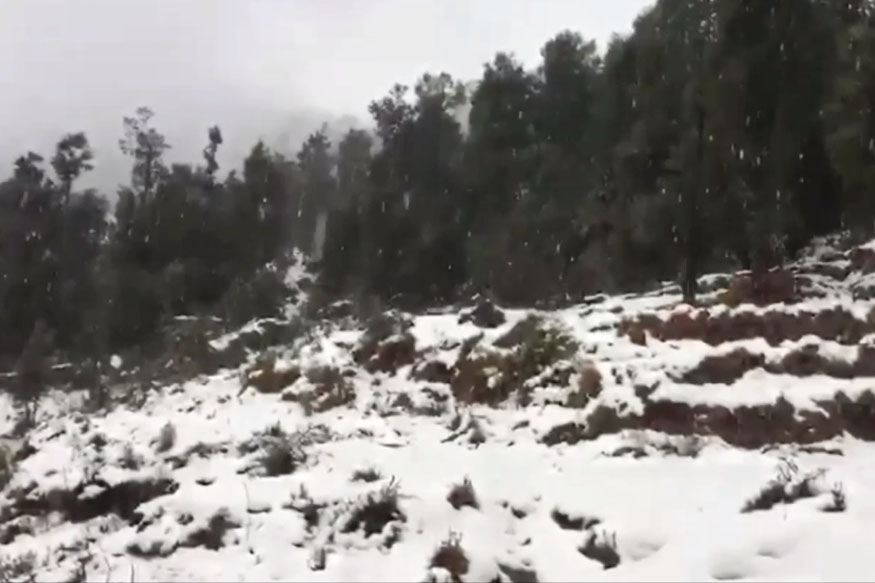 VIDEO: बर्फबारी से कपकोट के ऊंचाई वाले क्षेत्रों में स्थिति बेहद खराब