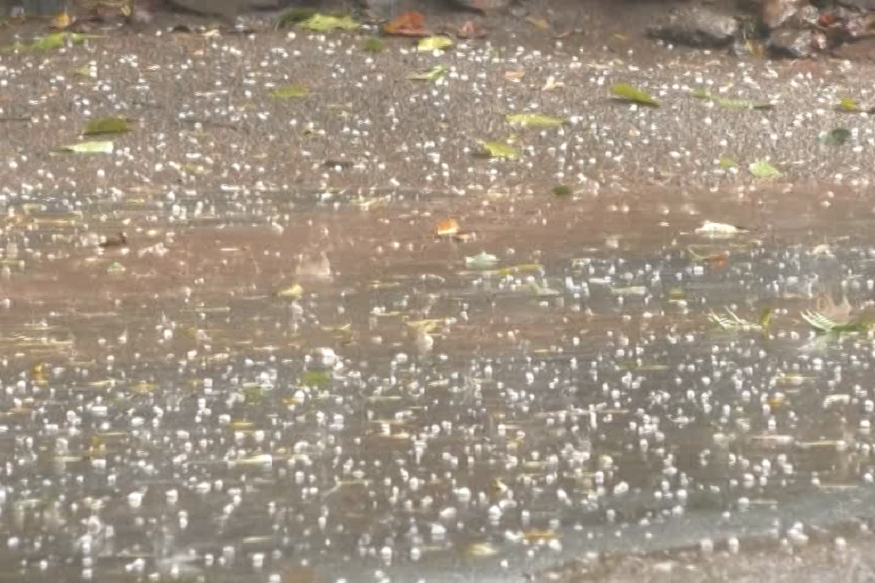 VIDEO : जमशेदपुर में बारिश के साथ हुई ओलाबारी, सड़कों पर बर्फ की चादर बिछी