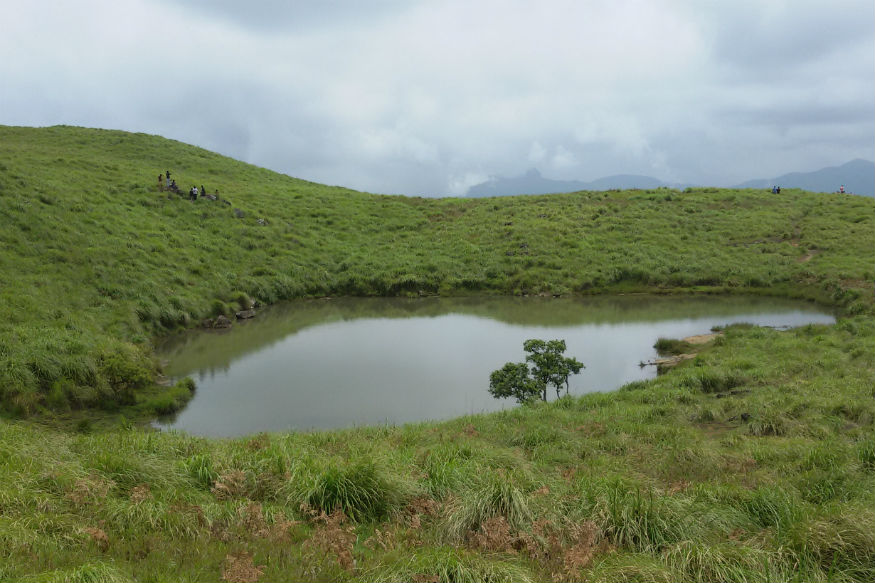  वायनाड केरल की एक खूबसरत जगहों में से एक है. यह एक ट्रेवेल डेस्टिनेशन, हनीमून डेस्टिनेशन के तौर पर बेहद मशहूर है. यह केरल के टॉप 5 डेस्टिनेशन्स में से भी एक है.