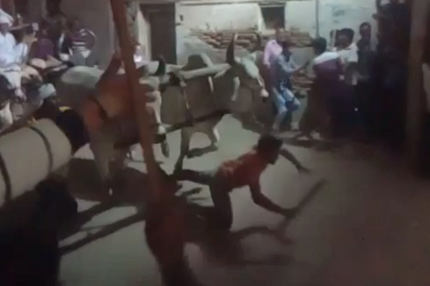 VIDEO: त्यौहार मनाने गया था शख्स, बैलगाड़ी के नीचे आकर हुई मौत