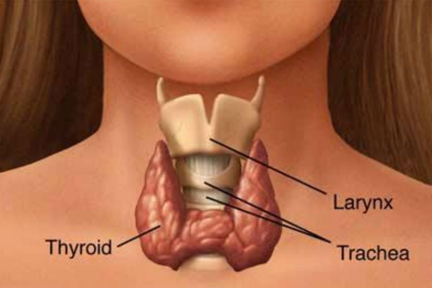 थायरॉइड की समस्या आपको भी है? इस तरह करें घर पर इलाज