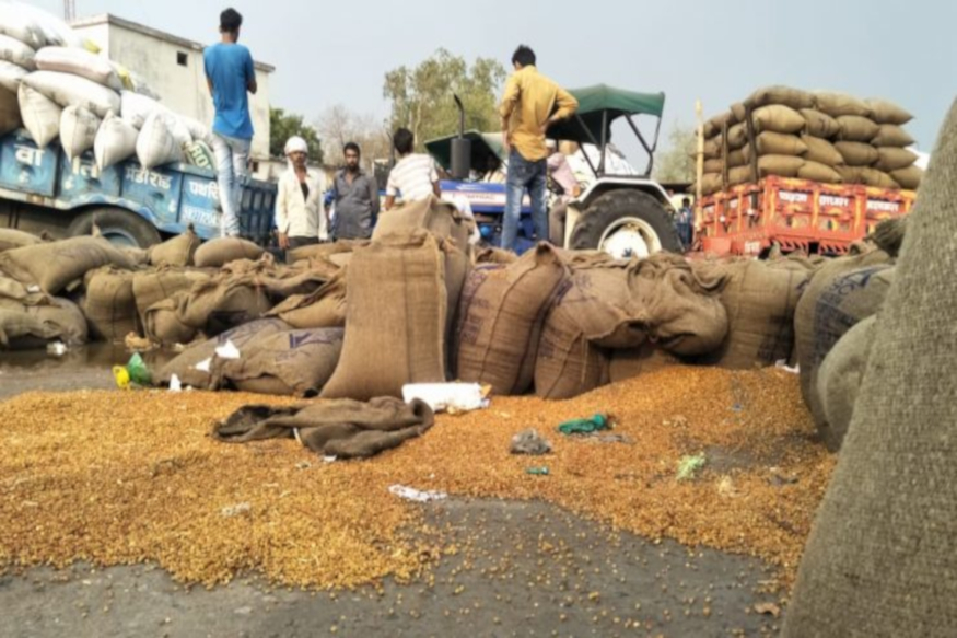 मंडी में धान की लग रही समर्थन मूल्य से कम बोली, किसान परेशान