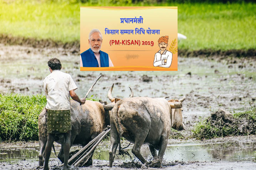 pradhan mantri kisan samman nidhi scheme, PM-Kisan helpline, farmer, kisan, aadhaar, pm-kisan Beneficiaries list, DBT, PM-KISAN Help Desk, Bank, direct benefit transfer scheme, bjp, narendra modi, ministry of agriculture, प्रधानमंत्री किसान सम्मान निधि योजना, किसान, आधार, पीएम-किसान के लाभार्थी राज्य, बैंक, डायरेक्ट बेनिफिट ट्रांसफर, बीजेपी, नरेंद्र मोदी, पीएम-किसान हेल्पलाइन, कृषि मंत्रालय, कृषि ऋण, लोकसभा चुनाव