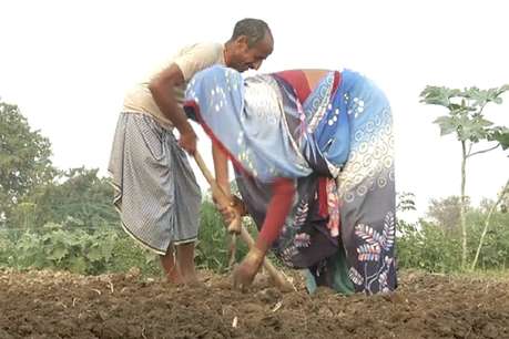budget 2019, modi Government, pradhan mantri kisan samman nidhi scheme, sbi, agriculture, narendra modi, Kailash Choudhary, बजट 2019, मोदी सरकार, प्रधान मंत्री किसान सम्मान निधि स्कीम, एसबीआई, कृषि, नरेंद्र मोदी, कैलाश चौधरी, स्टेट बैंक ऑफ इंडिया, sbi research report on agriculture, कृषि पर स्टेट बैंक की रिसर्च रिपोर्ट, saumya kanti ghosh, सौम्य कांति घोष