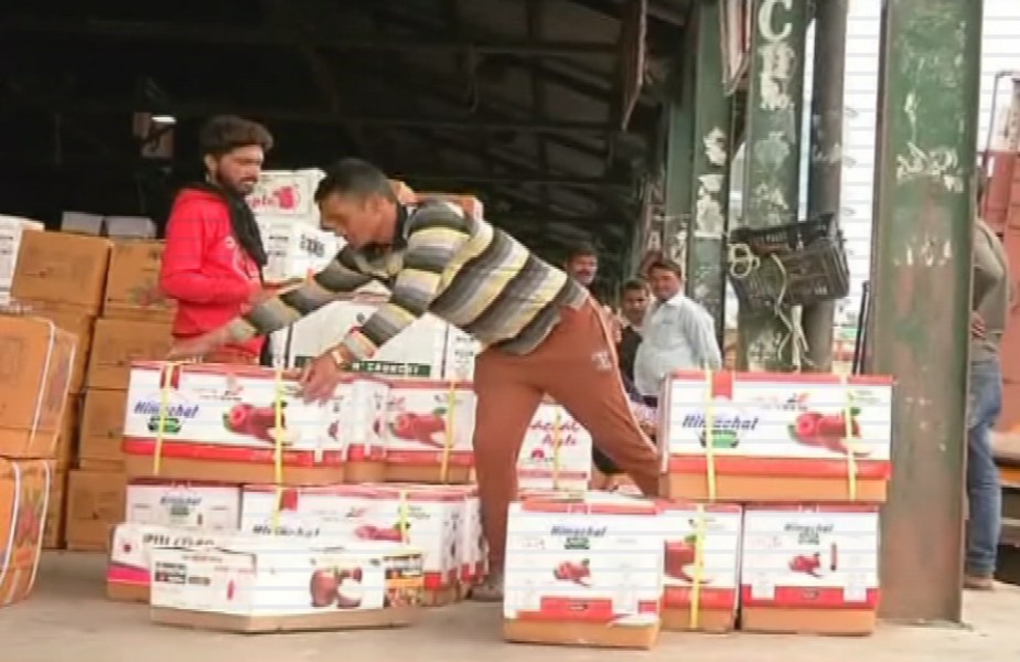 सेब का सीजन- Apple's season