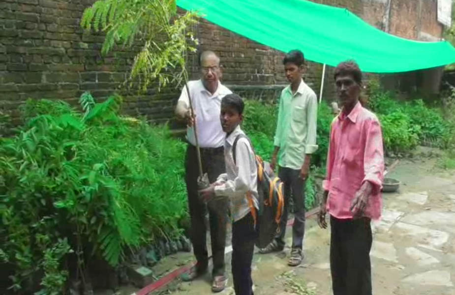पौधा वितरण, Plant distribution