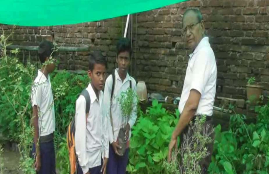 पौधा वितरण, Plant distribution