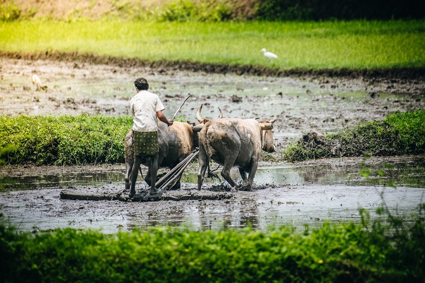 PM-KISAN Yojana who is eligible for 6000 rupees