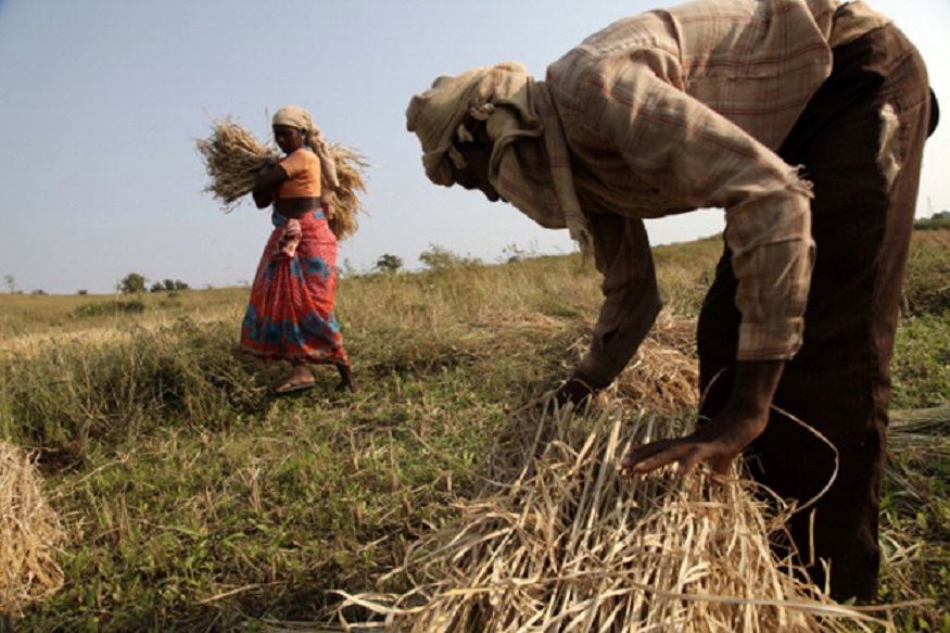budget 2019, बजट 2019, union budget 2019, आम बजट, मोदी सरकार का बजट, union budget for farmers, किसानों के लिए बजट, pradhan mantri kisan samman nidhi yojana, प्रधानमंत्री किसान सम्मान निधि, sbi, एसबीआई, स्टेट बैंक ऑफ इंडिया, किसान क्रेडिट कार्ड, kisan credit card, farmer, किसान, नरेंद्र मोदी, narendra modi,बीजेपी, BJP, Agriculture, कृषि, kcc, bank, बैंक, modi government, मोदी सरकार