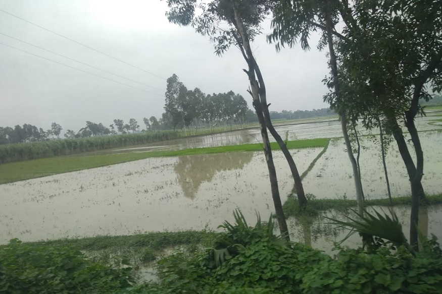 बांग्लादेश में बाढ, Flood situation in bangladesh