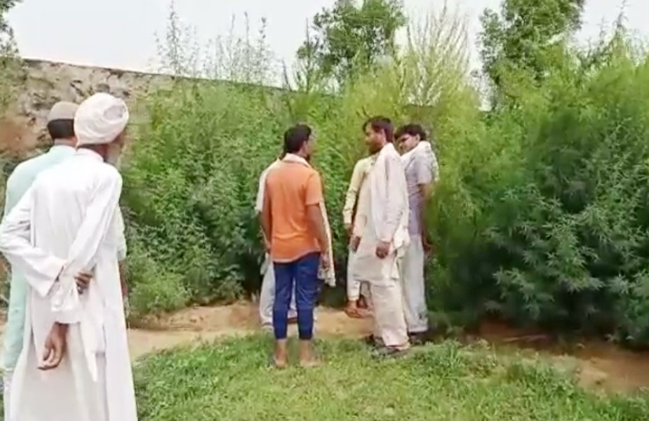 लूट-Loot