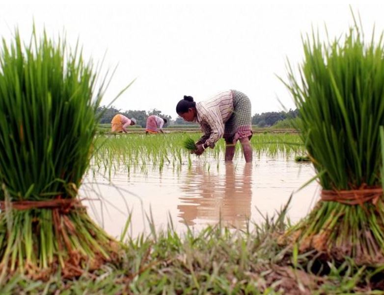 rain forecast, rainfall predictions, state wise rainfall data, india rain records, heavy rainfall alert, बारिश भविष्यवाणी, बारिश की संभावना, राज्यवार बारिश आंकड़े, देश में बारिश आंकड़े, भारी बारिश अलर्ट