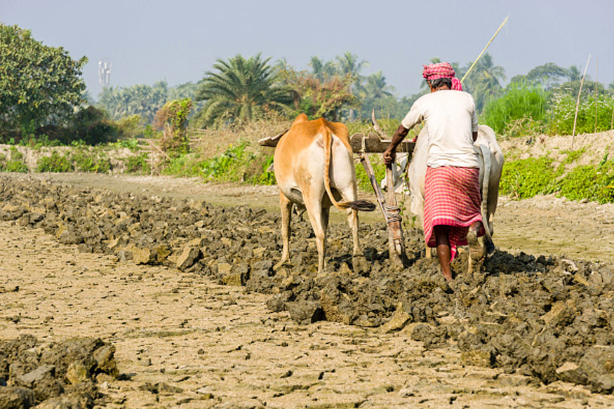 चुनावी मौसम में किसानों को बड़ा तोहफ़ा! हरियाणा सरकार ने माफ किया बिजली  सरचार्ज – News18 हिंदी
