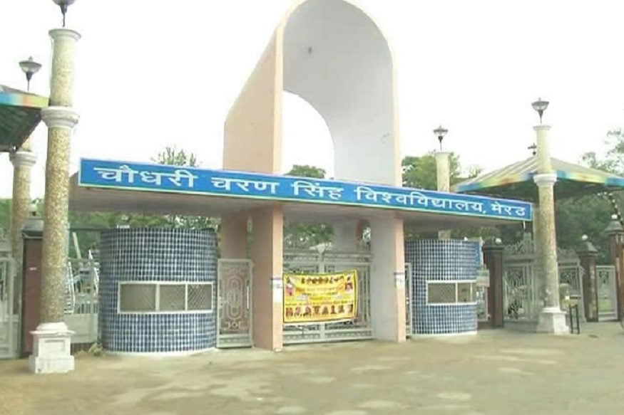 Meerut University