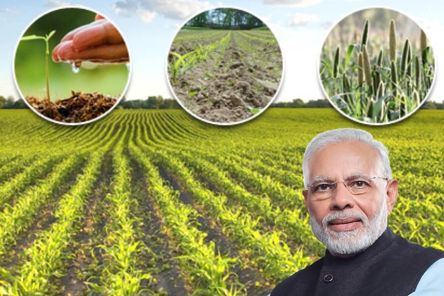 मोदी सरकार दे रही 50 हजार रुपये की मदद, लेकिन यहां आर्गेनिक कंपोस्ट पर लगी रोक