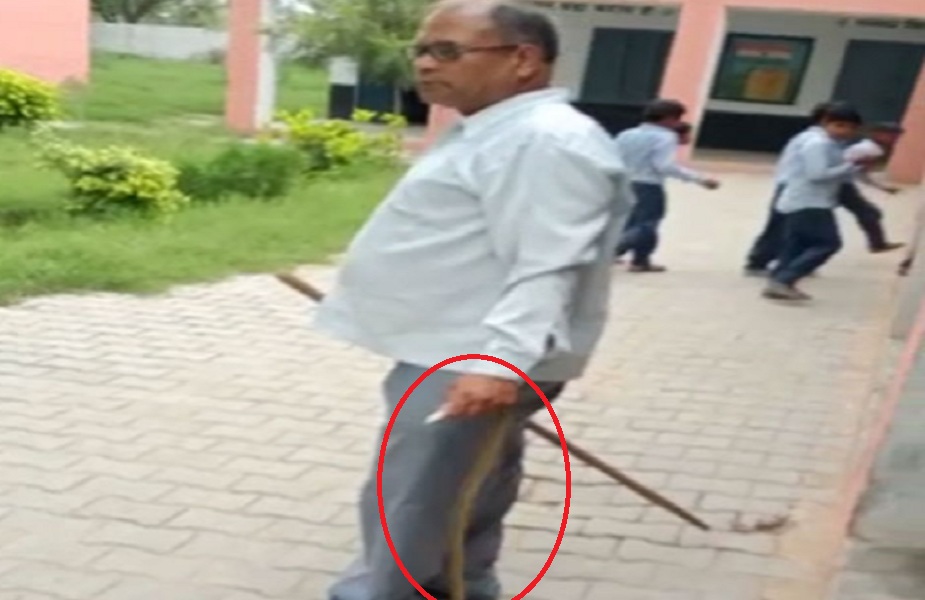 बच्चों को बचाने के लिए हेड मास्टर ने पकड़ा सांप