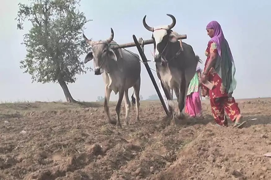 भूमि को पुनर्जीवित करके किसानों को फलने-फूलने, समुदायों को आगे बढ़ने, निजी क्षेत्र की वृद्धि और पर्यावरण व्यवस्था को सुधारने में मदद मिलेगी.