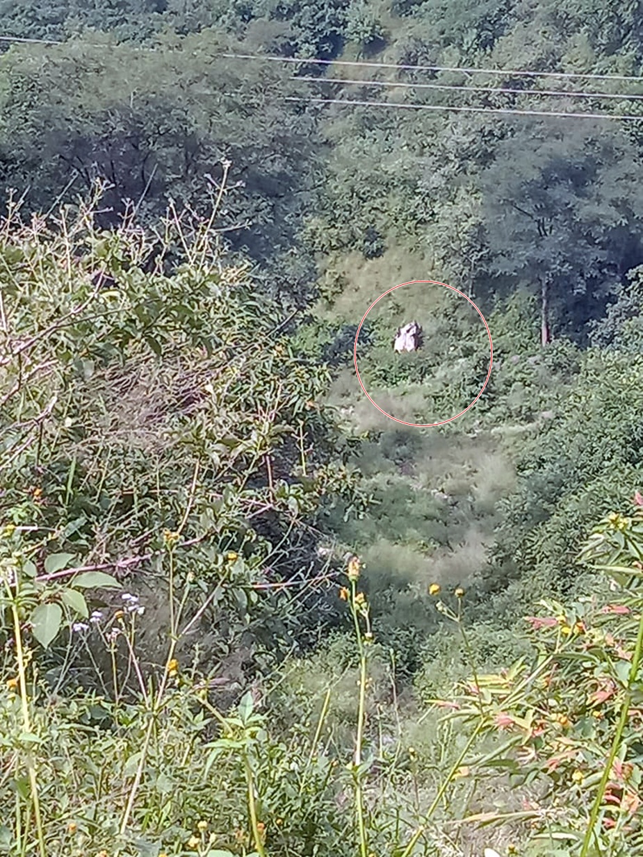 मंडी हादसा: कार काफी दूर से गिरी है.