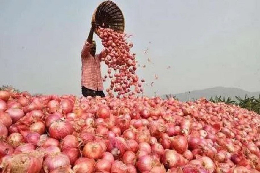 onion prices, onion production, vegetable market, price rise, why onion prices hike, प्याज़ की कीमत, प्याज़ उत्पादन, सब्ज़ी बाज़ार, महंगाई, प्याज़ महंगा क्यों है