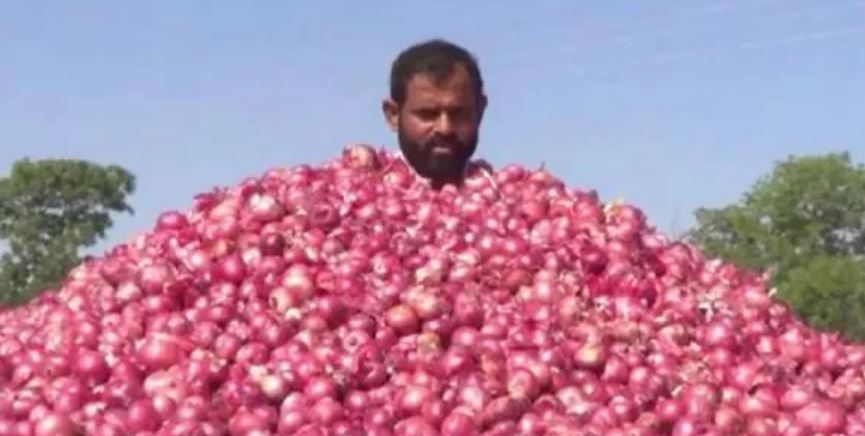 onion prices, onion production, why onion price rise, onion price india, onion price city wise, प्याज़ के दाम, प्याज़ का उत्पादन, क्यों बढ़े प्याज़ के दाम, देश में प्याज़ के दाम, राज्यों में प्याज़ के दाम