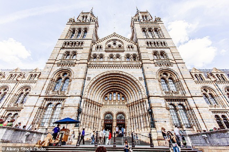 Natural History Museum, London