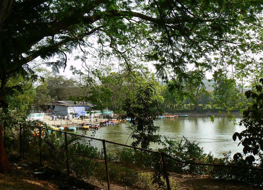 aarey colony, aarey forest, aarey colony history, mumbai forest, jawahar lal nehru facts, आरे कॉलोनी, आरे जंगल, आरे कॉलोनी इतिहास, मुंबई जंगल, जवाहरलाल नेहरू फैक्ट्स