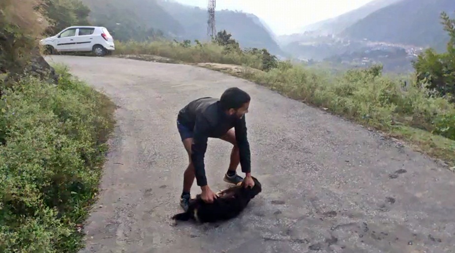 वीडियो मंडी जिला के द्रंग विधानसभा क्षेत्र के तहत आने वाली कटिंडी पंचायत का है.