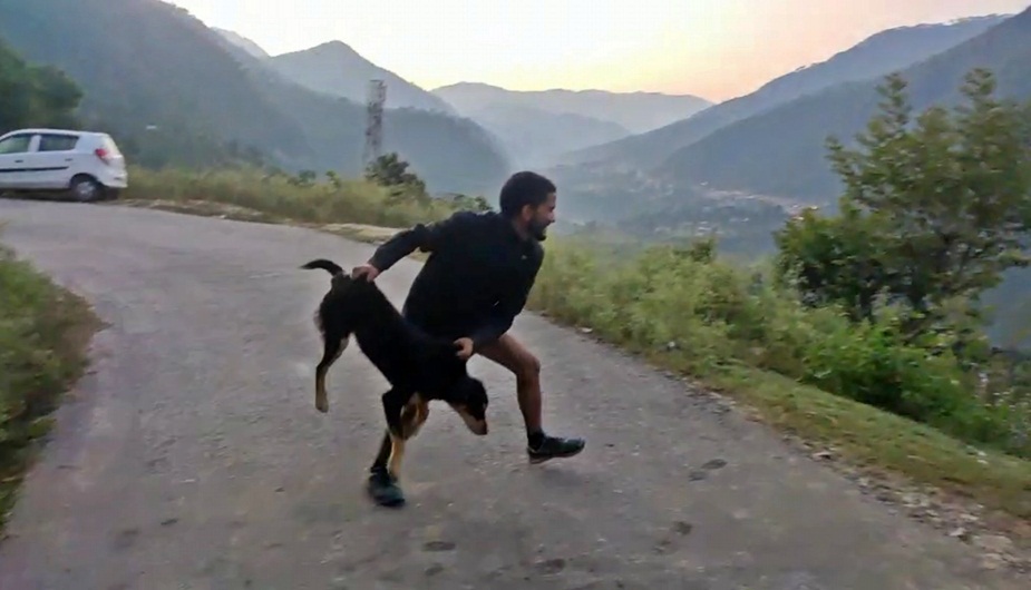 कुत्ता झाड़ियों में मुहं के बल गिरता है और उसके बाद दो और युवा आते हैं और तीनों नाचते लग जाते हैं.