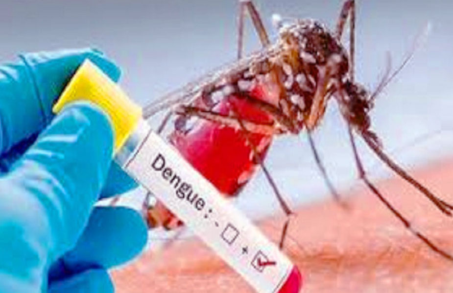 dengue