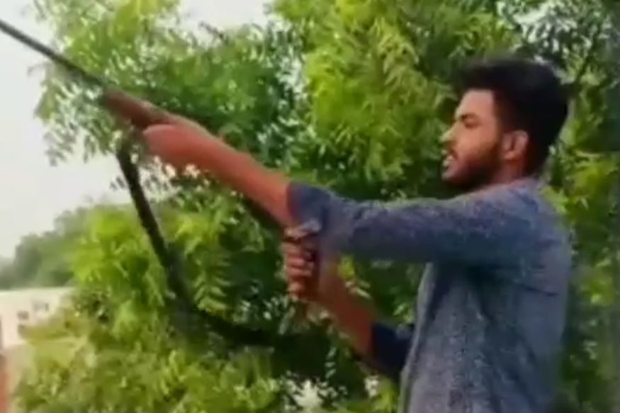 हथियारों का प्रदर्शन औप ताबड़तोड़ फायरिंग