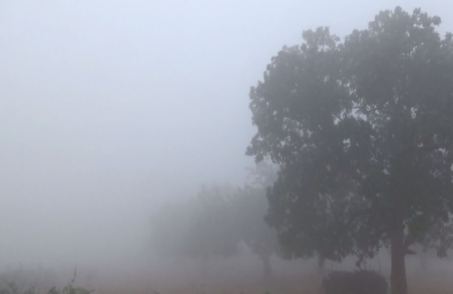 कोहरा-fog
