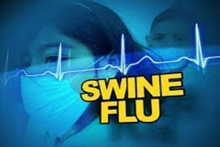 स्वाइन फ्लू की दस्तक: लक्षण, बचाव और उपाय, जानें सबकुछ | know all about  swine flu bgys – News18 हिंदी