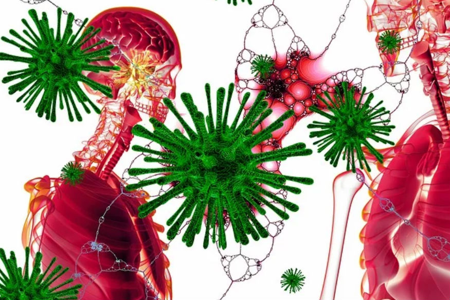 Corona Virus