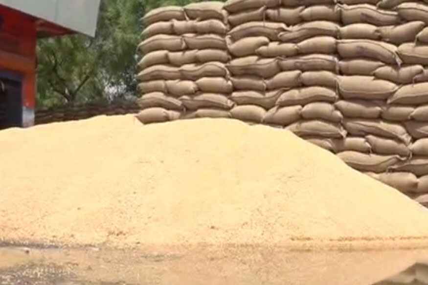 Rabi crop purchase starts in Madhya Pradesh on support price from today