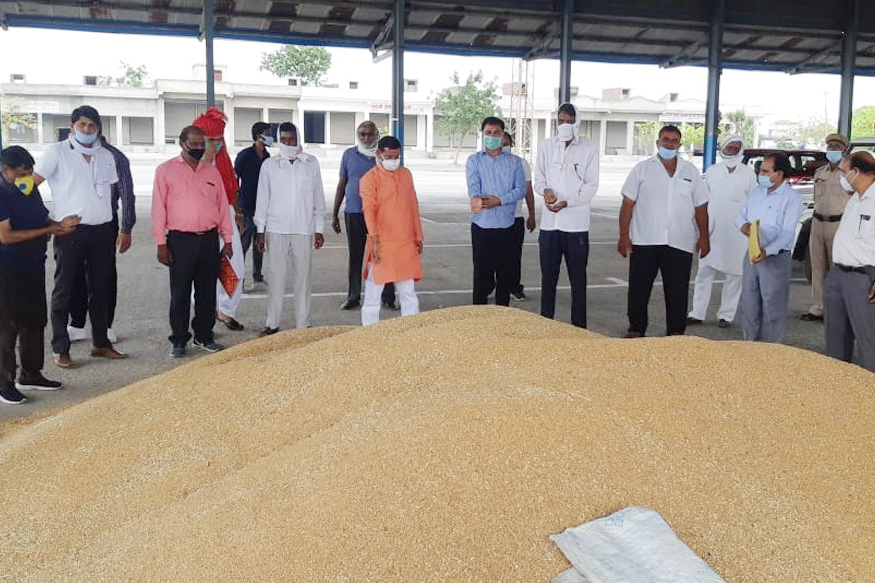 Farmers of Haryana