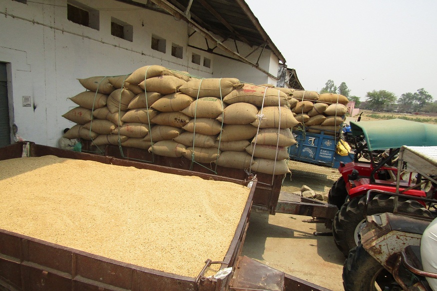  Kisan news in hindi, farmers news,  Haryana mandi, payment of wheat procurement,  हिंदी में किसान न्यूज, किसान समाचार,  हरियाणा की अनाज मंडी, गेहूं खरीद का भुगतान, Manohar Lal khattar, Haryana Government, मनोहरलाल खट्टर, हरियाणा सरकार, कोविड-19 लॉकआउट, Coronavirus Lockdown, किसान, Farmer,  न्यूनतम समर्थन मूल्य, MSP-Minimum Support Price, Haryana Agriculture  