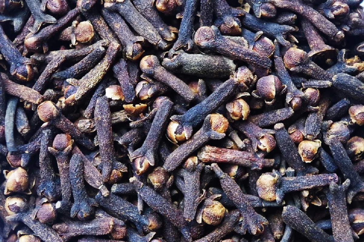 Cloves Health Benefits : रात को सोने से पहले लौंग का इस तरह करें प्रयोग तो  इम्‍यूनिटी रहेगी स्‍ट्रॉन्‍ग, जानें इसके अन्‍य फायदे भी Eat 2 cloves with  warm water before sleeping