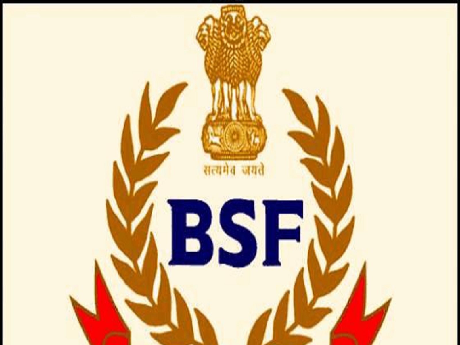 INDIAN BORDER SECURITY FORCE BSF CAP BADGE HAT Insignia Original Vintage  INDIA | eBay